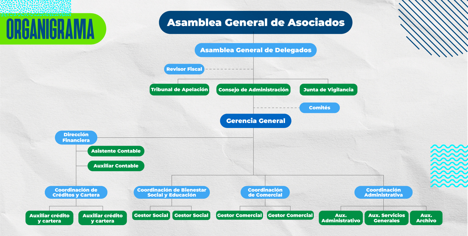 PIEZAS WEB ORGANIGRAMA 03