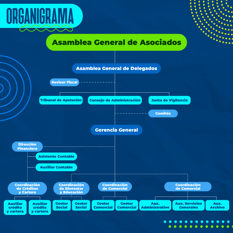 organigrama